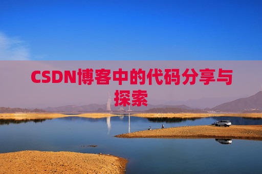 CSDN博客中的代码分享与探索